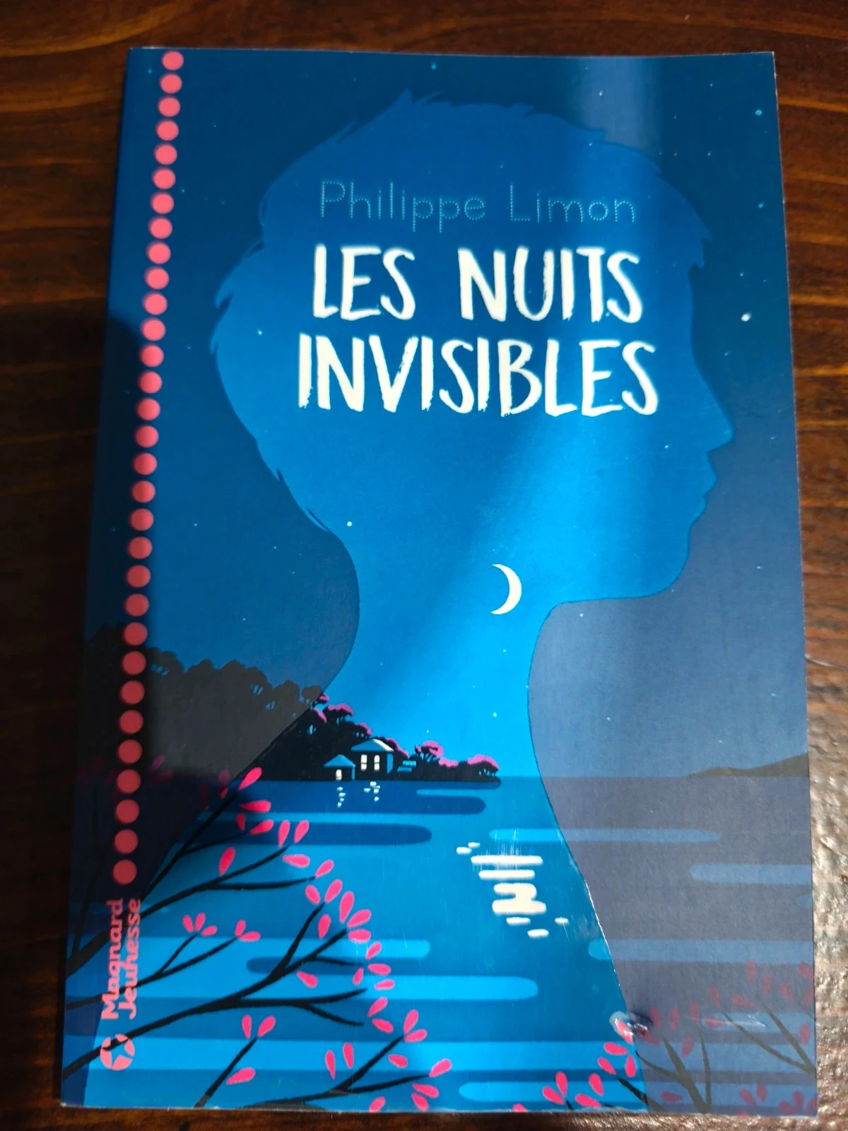 Les nuits invisibles